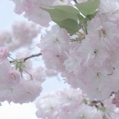 Furry手绘上色教程兽圈社群